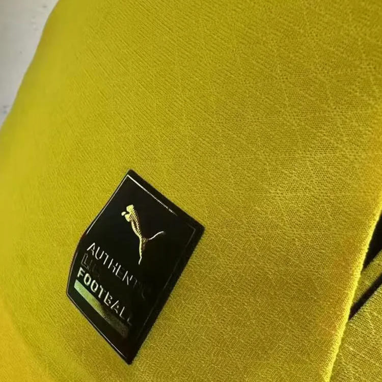 BORUSSIA DORTMUND 24/25 Home Shirt