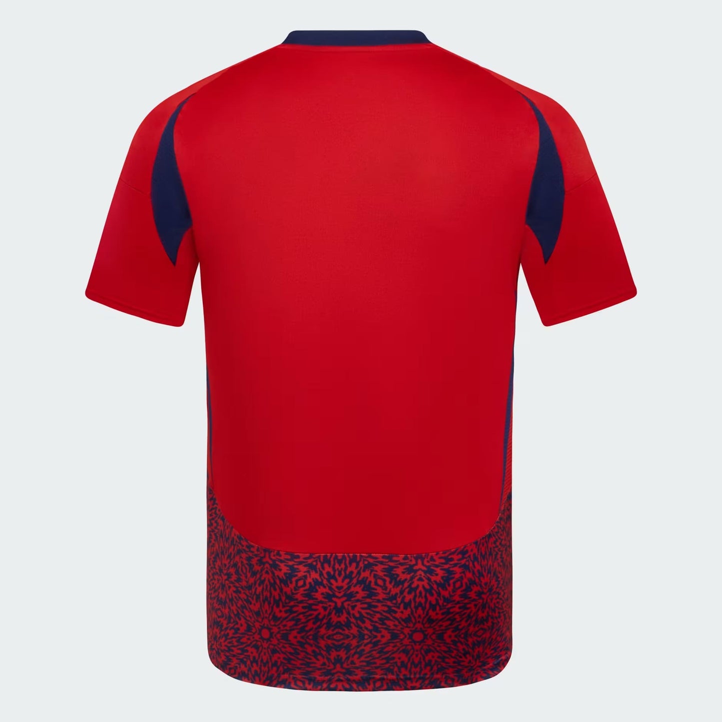 COSTA RICA 2024 Home Kit - Shirt